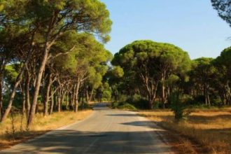 Περιφέρεια Δυτικής Ελλάδας: Που απαγορεύεται η κυκλοφορία τις ημέρες πολύ υψηλού κινδύνου πυρκαγιάς