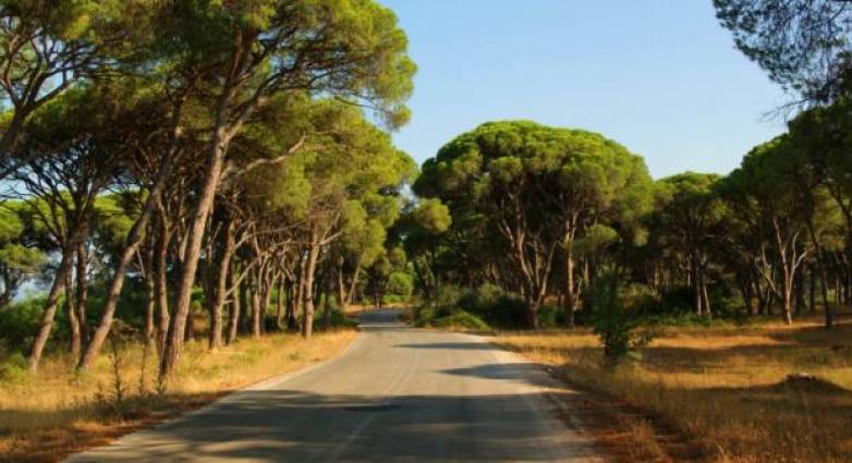 Περιφέρεια Δυτικής Ελλάδας: Που απαγορεύεται η κυκλοφορία τις ημέρες πολύ υψηλού κινδύνου πυρκαγιάς