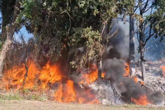 Επικίνδυνη φωτιά στο Μεσολόγγι (ΦΩΤΟ)