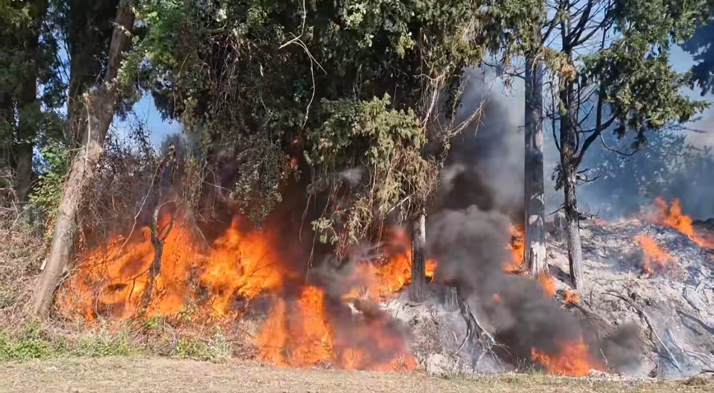 Επικίνδυνη φωτιά στο Μεσολόγγι (ΦΩΤΟ)