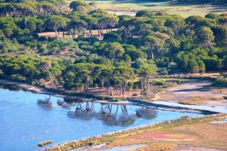 Ψήφισμα της ΠΕΔ Δυτικής Ελλάδας για τον οικότοπο Κοτυχίου - Στροφυλιάς