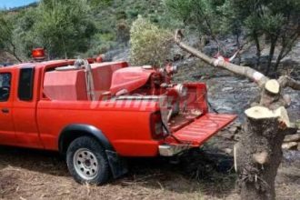 Πυρκαγιά κοντά στον αρχαιολογικό χώρο της Καλυδώνας (ΦΩΤΟ) - ΝΕΟΤΕΡΑ