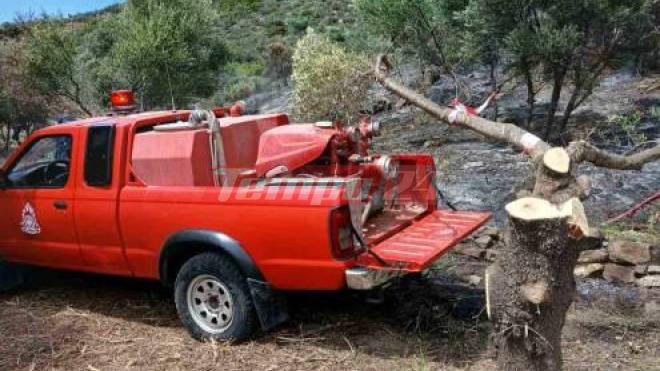 Πυρκαγιά κοντά στον αρχαιολογικό χώρο της Καλυδώνας (ΦΩΤΟ) - ΝΕΟΤΕΡΑ
