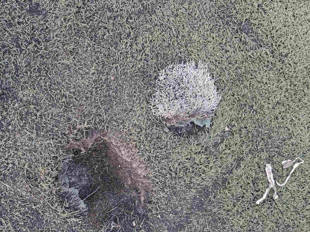 «Πάτρα Ενωμένη»: Εικόνες ντροπής στο γήπεδο Σαραβαλίου - ΦΩΤΟ