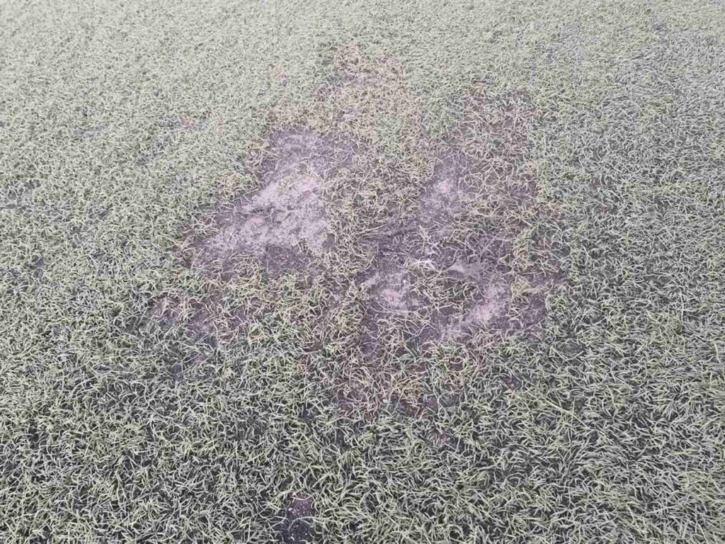 «Πάτρα Ενωμένη»: Εικόνες ντροπής στο γήπεδο Σαραβαλίου - ΦΩΤΟ