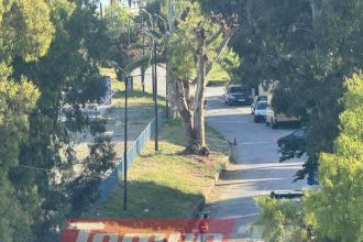 Πάτρα: Μετά τους σοβάδες, τεράστια κλαδιά πέφτουν σε δρόμους - Από θαύμα γλύτωσαν μικρά παιδιά ΦΩΤΟ