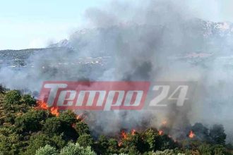Βελιτσές Αχαΐας: Συναγερμός για πυρκαγιά σε δασική έκταση - Επιχειρούν και εναέρια μέσα (ΦΩΤΟ - ΒΙΝΤΕΟ) - ΝΕΟΤΕΡΑ