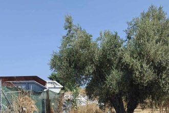 Εικόνες ντροπής στο ΒΙΟΠΑ Γλαύκου