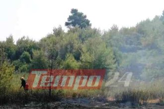 Πάτρα: Φωτιά στο Παυλόκαστρο, αντιμετωπίστηκε άμεσα (ΦΩΤΟ)