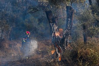 Ξεπερνούν τα 40.000 στρέμματα οι καμένες εκτάσεις στη Χίο