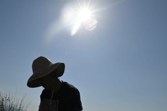 Καύσωνας και υγεία: Οι ηλικιωμένοι κινδυνεύουν περισσότερο από βλάβες στα νεφρά και φλεγμονή