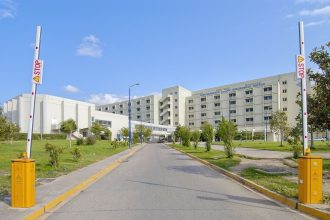 Νέο περιστατικό με δάγκωμα οχιάς - Άνδρας μεταφέρθηκε στο ΠΓΝΠ (ΦΩΤΟ)