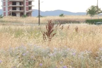 Ακαθάριστα οικόπεδα: Αποτελούν πηγή κινδύνου για πυρκαγιά - Αντιμέτωποι με πρόστιμα οι ιδιοκτήτες