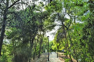 Πάτρα: Αυξημένη επιφυλακή στα δάση λόγω υψηλού κινδύνου πυρκαγιάς - Πού θα απαγορεύεται η κυκλοφορία την Κυριακή