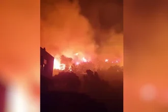 Κόλαση φωτιάς στη Χίο: Μπαράζ μηνυμάτων του 112 για εκκένωση οικισμών – Στις φλόγες τουλάχιστον 3 σπίτια