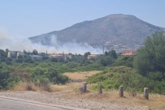 Εκκενώνονται Ανάβυσσος και Παλαιά Φώκαια - Φωτιά καίει κοντά σε σπίτια, κάηκαν δύο αποθήκες - ΝΕΟΤΕΡΑ