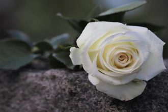 Πάτρα: Κηδεύεται την Πέμπτη ο Αθανάσιος Παπαδόπουλος