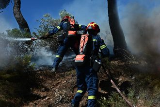 Χαλκιδική: Υπό έλεγχο η φωτιά στην περιοχή της Ορμύλιας