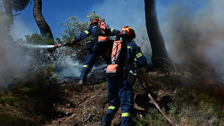 Χαλκιδική: Υπό έλεγχο η φωτιά στην περιοχή της Ορμύλιας
