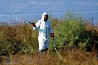 Σε συναγερμό οι υγειονομικές αρχές μετά το κρούσμα Δυτικού Νείλου στην Ηλεία - Σε σοβαρή κατάσταση ο ασθενής