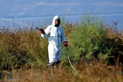 Σε συναγερμό οι υγειονομικές αρχές μετά το κρούσμα Δυτικού Νείλου στην Ηλεία - Σε σοβαρή κατάσταση ο ασθενής
