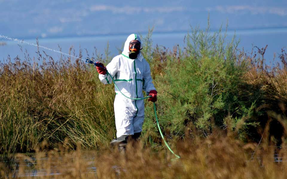 Σε συναγερμό οι υγειονομικές αρχές μετά το κρούσμα Δυτικού Νείλου στην Ηλεία - Σε σοβαρή κατάσταση ο ασθενής
