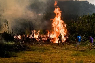 Πυρκαγιές: Σε "κίτρινο συναγερμό" σήμερα Αχαΐα, Ηλεία, Αιτωλοακαρνανία