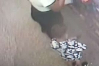 Πάτρα: Πως πιτσιρικάς "σούφρωσε" χρήματα από πορτοφόλι πελάτη ΑΠΙΣΤΕΥΤΟ ΒΙΝΤΕΟ