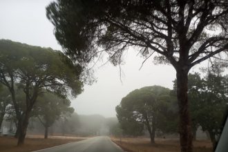 Η Στροφυλιά ...τυλιγμένη σε πέπλο ομίχλης - Εντυπωσιακές εικόνες