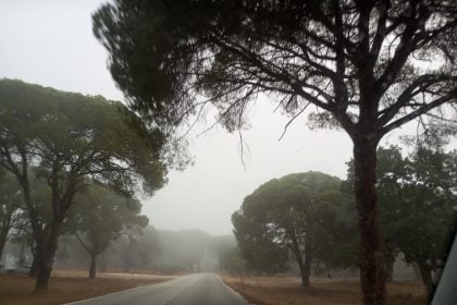 Η Στροφυλιά ...τυλιγμένη σε πέπλο ομίχλης - Εντυπωσιακές εικόνες