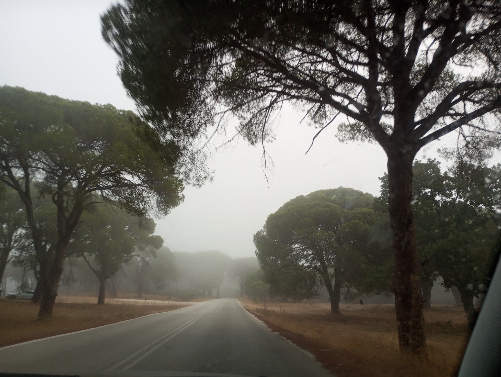 Η Στροφυλιά ...τυλιγμένη σε πέπλο ομίχλης - Εντυπωσιακές εικόνες