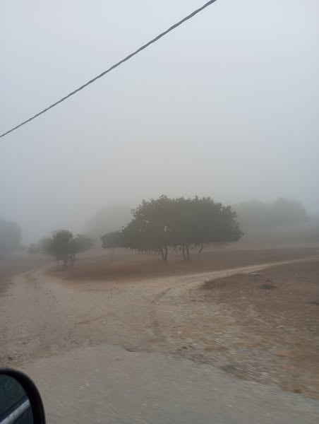 Η Στροφυλιά ...τυλιγμένη σε πέπλο ομίχλης - Εντυπωσιακές εικόνες