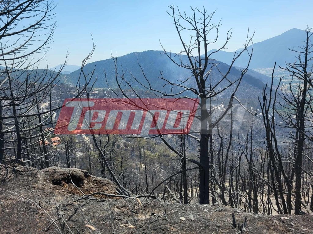 Το Tempo24.News στον Φενεό: Σε επιφυλακή για αναζωπυρώσεις οι πυροσβέστες –Η φωτιά έκαψε σπίτια και τεράστιες εκτάσεις δάσους (ΦΩΤΟ & BINTEO)