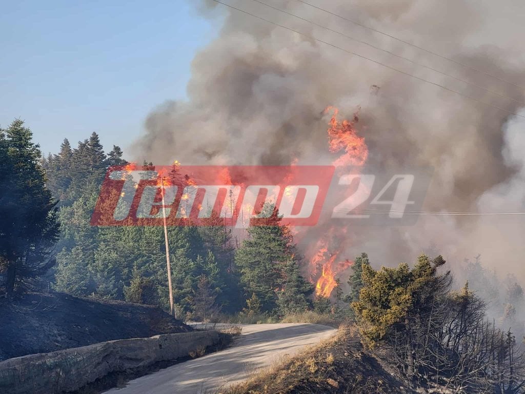 Δύο συλλήψεις για τη φωτιά στον Φενεό που βρίσκεται σε ύφεση – Έκαναν ηλεκτροσυγκόλληση μέσα στο δάσος! Στο πύρινο μέτωπο το tempo24 - "Σηκώθηκαν" 15 εναέρια μέσα από νωρίς το πρωί - ΦΩΤΟ