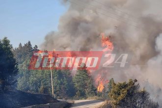Δύο συλλήψεις για τη φωτιά στον Φενεό που βρίσκεται σε ύφεση – Έκαναν ηλεκτροσυγκόλληση μέσα στο δάσος! Στο πύρινο μέτωπο το tempo24 - "Σηκώθηκαν" 15 εναέρια μέσα από νωρίς το πρωί - ΦΩΤΟ
