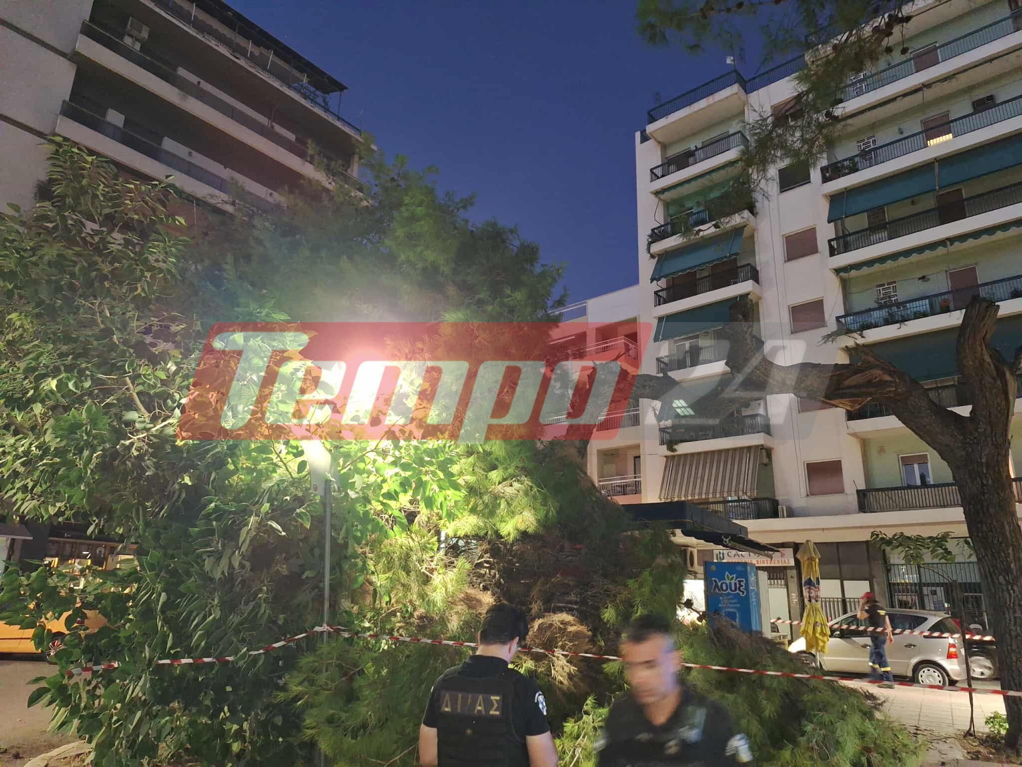 Πάτρα: Δέντρο έπεσε στην πλατεία Βουδ (ΦΩΤΟ-ΒΙΝΤΕΟ)