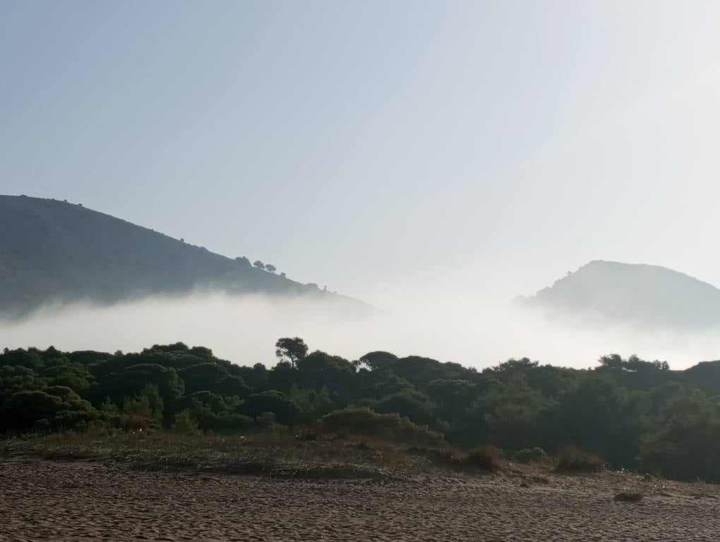 Η Στροφυλιά ...τυλιγμένη σε πέπλο ομίχλης - Εντυπωσιακές εικόνες