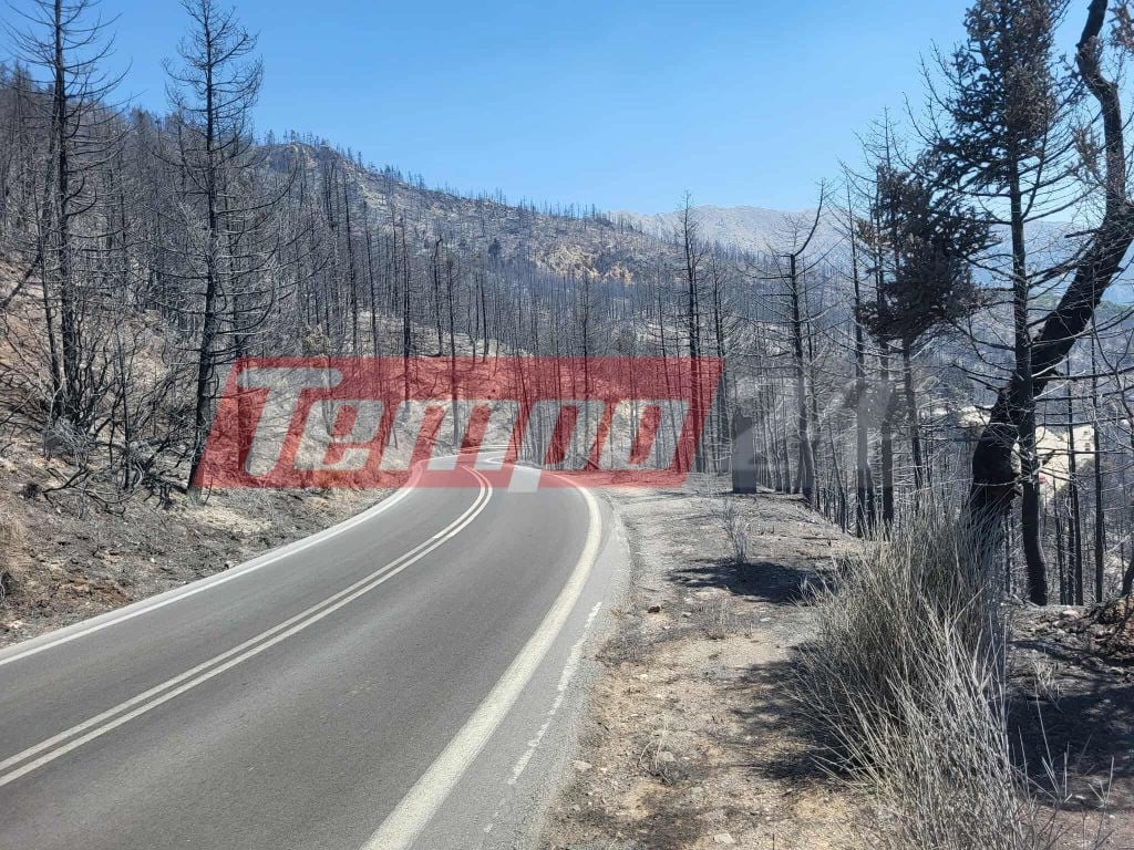 Το Tempo24.News στον Φενεό: Σε επιφυλακή για αναζωπυρώσεις οι πυροσβέστες –Η φωτιά έκαψε σπίτια και τεράστιες εκτάσεις δάσους (ΦΩΤΟ & BINTEO)
