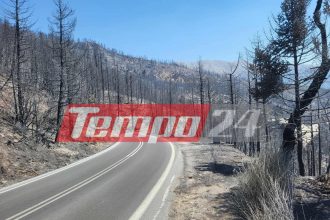 Φωτιά στον Φενεό: Δορυφορική εικόνα αποτυπώνει το μέγεθος της καταστροφής