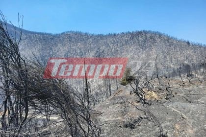 Το Tempo24.News στον Φενεό: Σε επιφυλακή για αναζωπυρώσεις οι πυροσβέστες –Η φωτιά έκαψε σπίτια και τεράστιες εκτάσεις δάσους (ΦΩΤΟ)