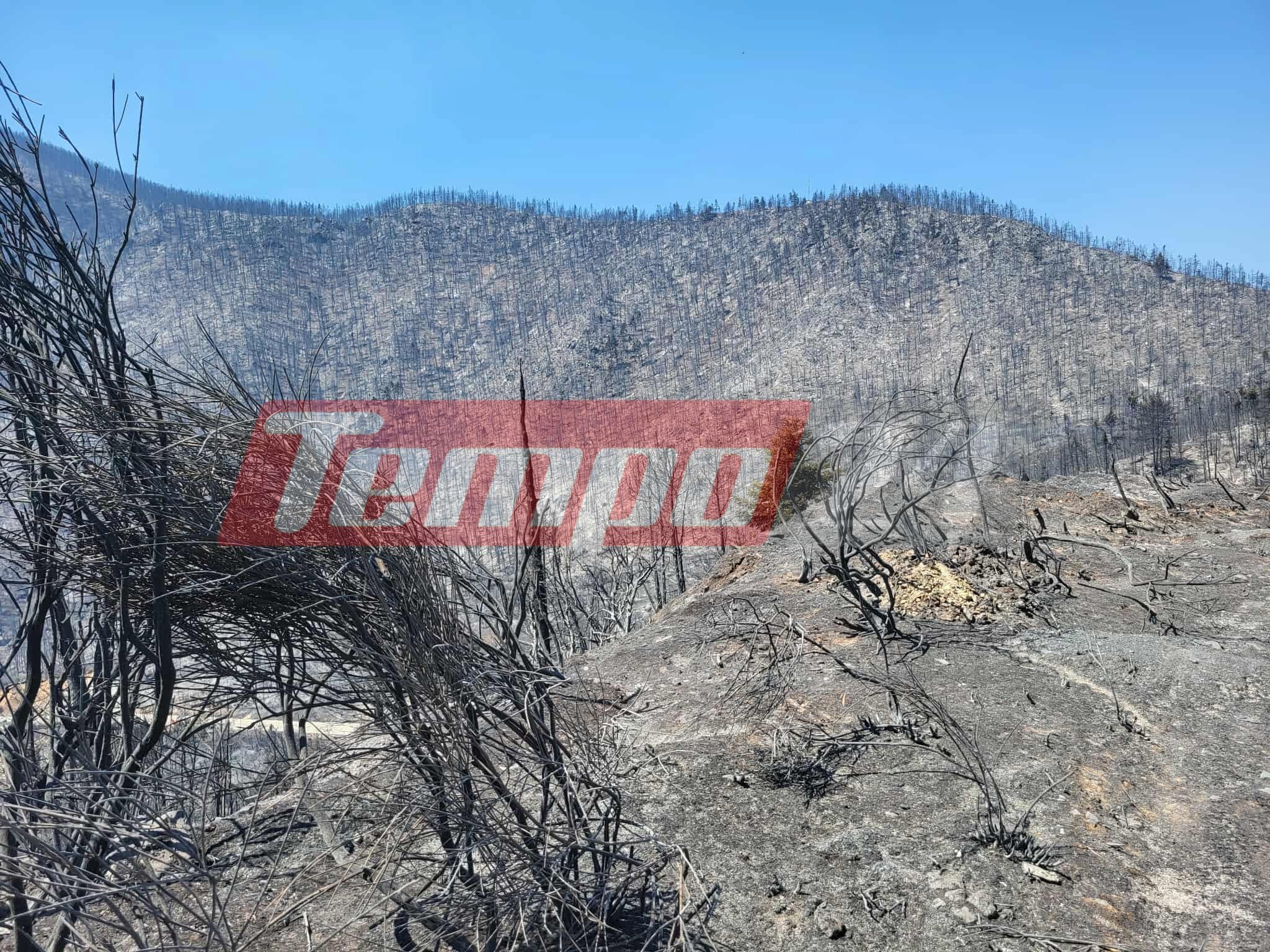 Το Tempo24.News στον Φενεό: Σε επιφυλακή για αναζωπυρώσεις οι πυροσβέστες –Η φωτιά έκαψε σπίτια και τεράστιες εκτάσεις δάσους (ΦΩΤΟ & BINTEO)