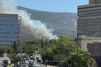 Δίπλα από αδήλωτα μελίσσια ξεκίνησε η μεγάλη φωτιά στον Υμηττό – Πρόστιμο και στον πρύτανη του ΕΚΠΑ 
