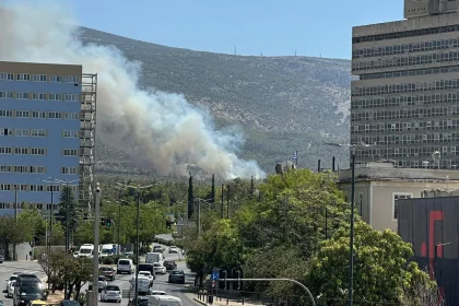 Δίπλα από αδήλωτα μελίσσια ξεκίνησε η μεγάλη φωτιά στον Υμηττό – Πρόστιμο και στον πρύτανη του ΕΚΠΑ 