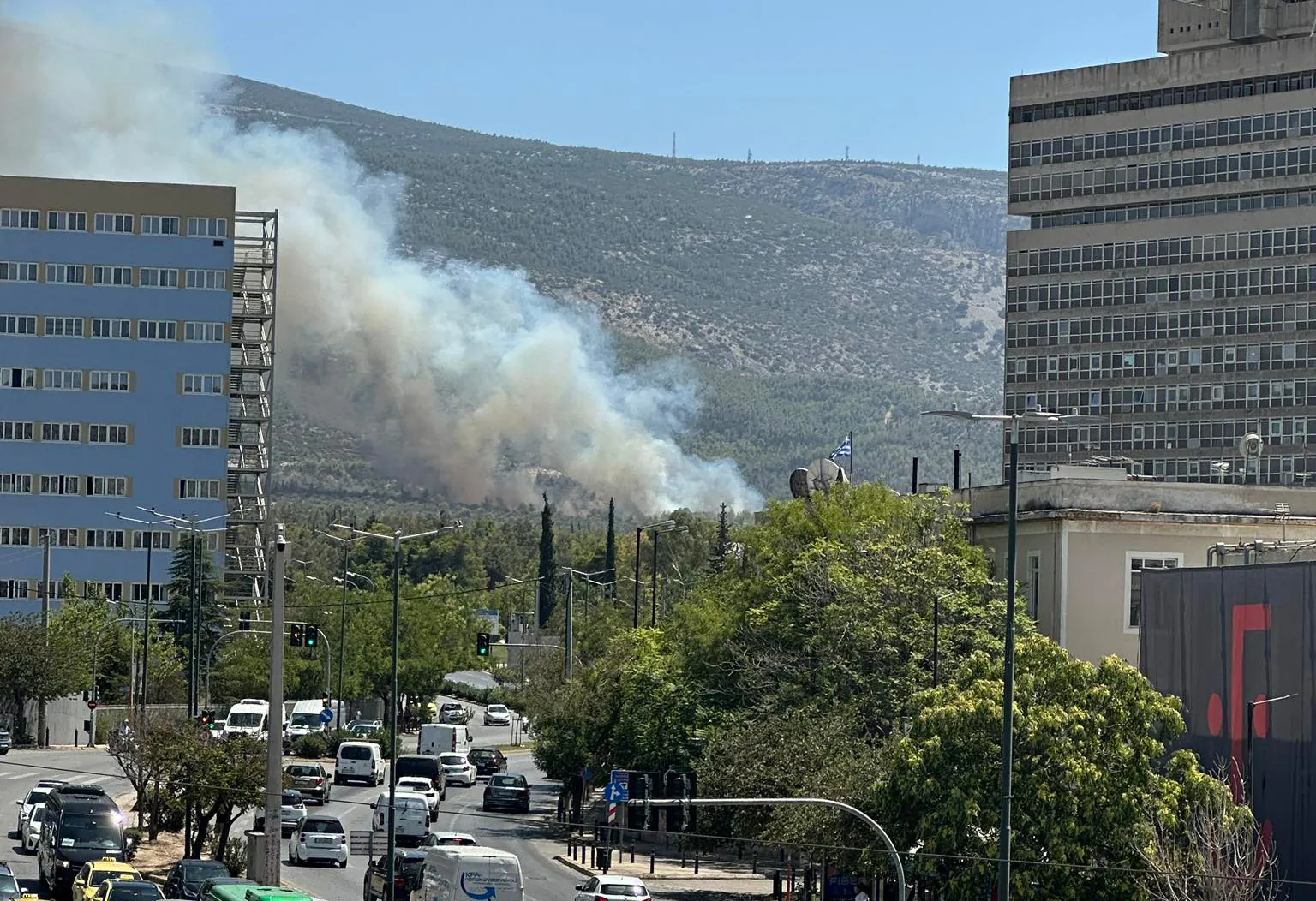 Δίπλα από αδήλωτα μελίσσια ξεκίνησε η μεγάλη φωτιά στον Υμηττό – Πρόστιμο και στον πρύτανη του ΕΚΠΑ 