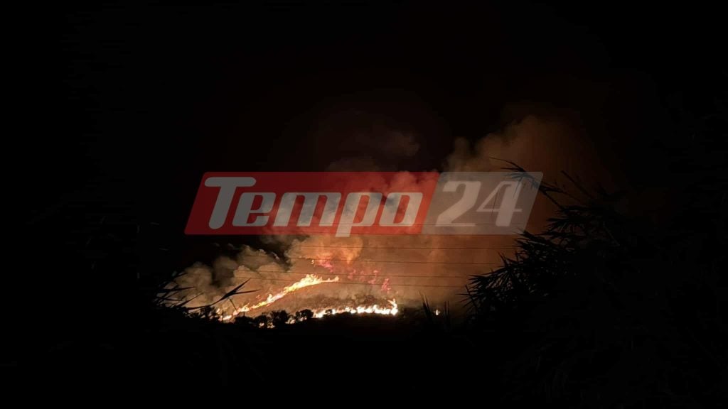 Πυρκαγιά ξέσπασε στην Μακύνεια Ναυπακτίας - ΦΩΤΟ ΚΑΙ BINTEO