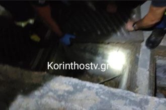 Οι πυροσβέστες έσωσαν τέσσερα μικρά γατάκια από φρεάτιο