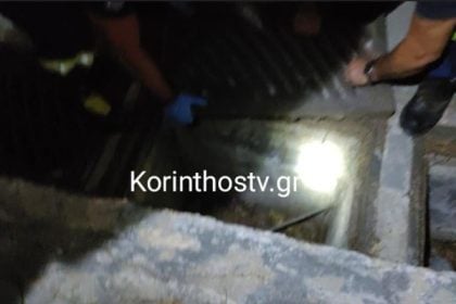 Οι πυροσβέστες έσωσαν τέσσερα μικρά γατάκια από φρεάτιο