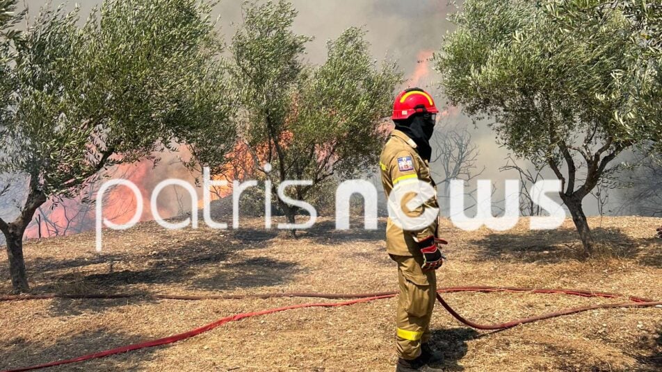 Ηλεία: Μεγάλη κινητοποίηση για δασική πυρκαγιά στο Γεράκι Αμαλιάδας - Επιχειρούν και εναέρια μέσα-Ήχησε το 112