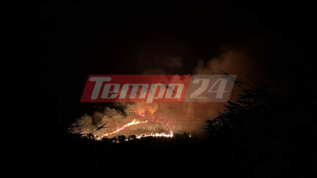 Πυρκαγιά ξέσπασε στην Μακύνεια Ναυπακτίας - ΦΩΤΟ ΚΑΙ BINTEO