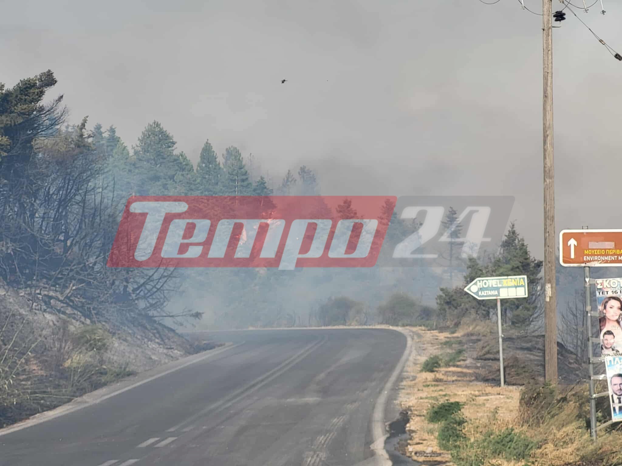 Το tempo24.news στην φωτιά στον Φενεό Κορινθίας - Ηχεί διαρκώς το 112-ΦΩΤΟ & ΒΙΝΤΕΟ